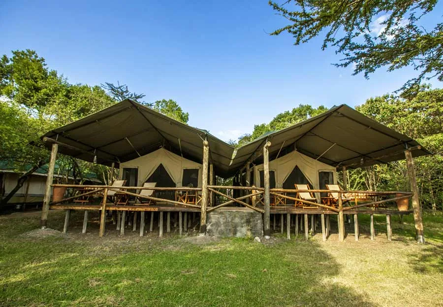 Comfortable canvas family safari tents surrounded by the Kenyan bush