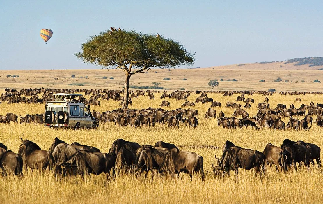 Expansive green Maasai Mara plains beneath a dramatic sky