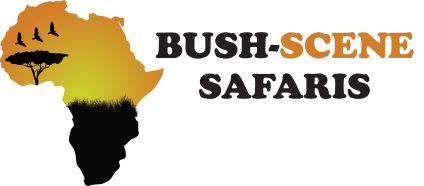 Bush Scene Safaris