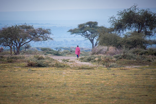 Acacia woodland in Kenya