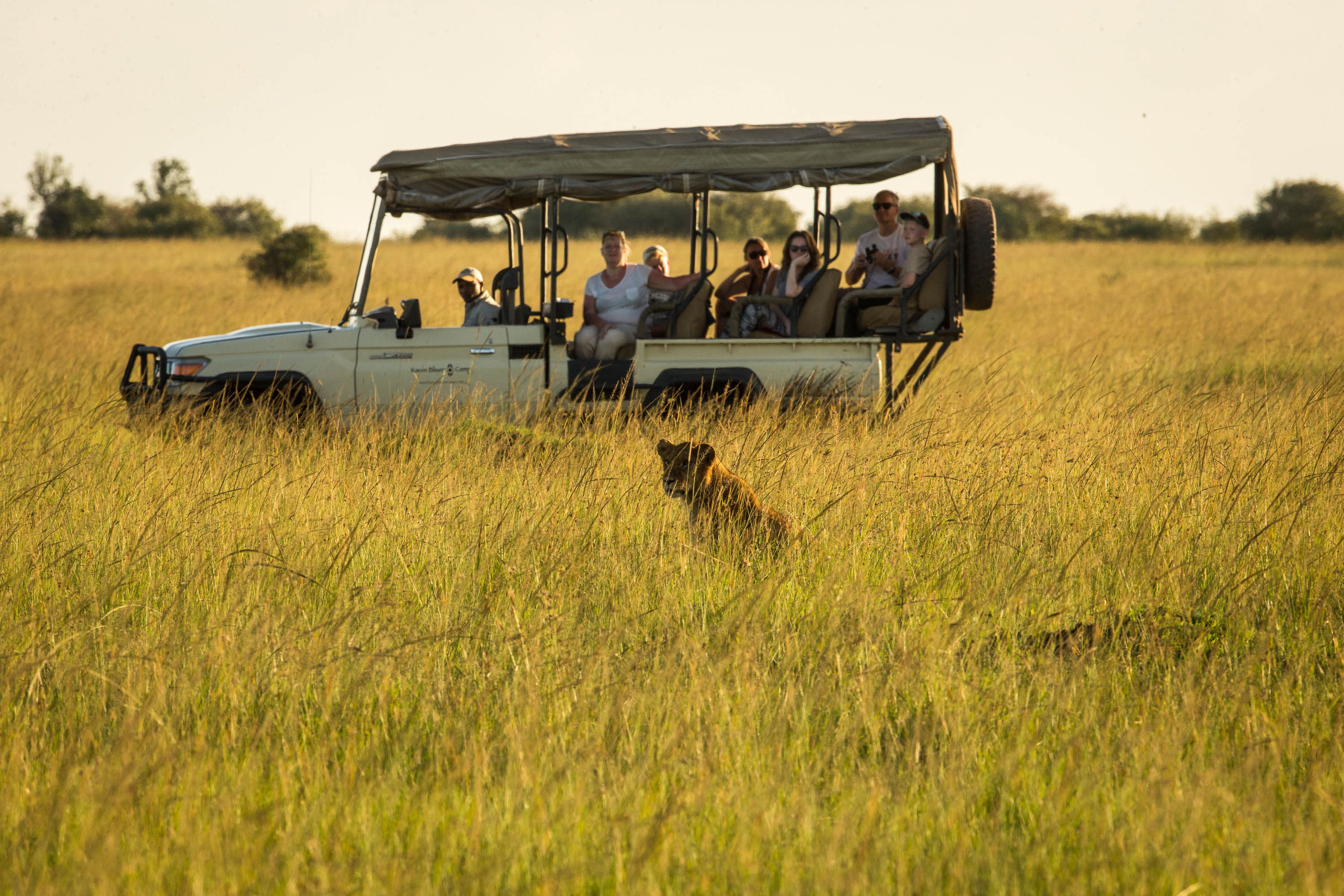 Extensive Wild Photography in Masai Mara