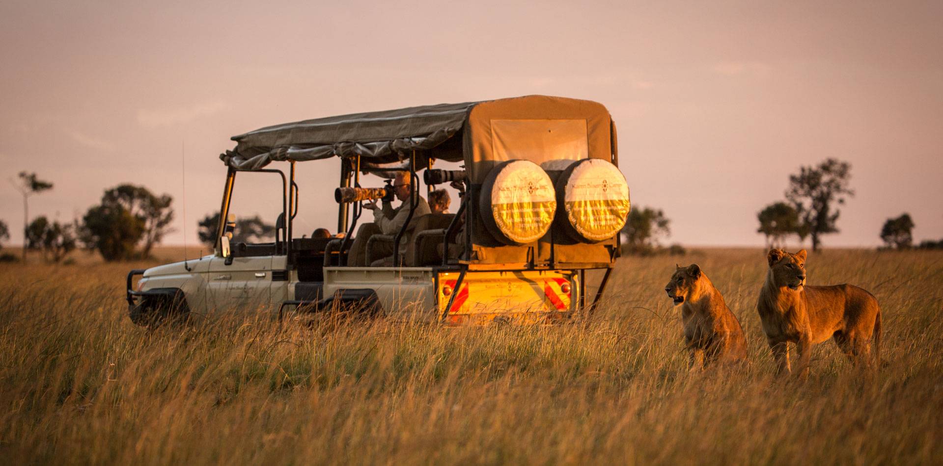 Luxury Masai Mara Fly In Safari at Karen Blixen Camp